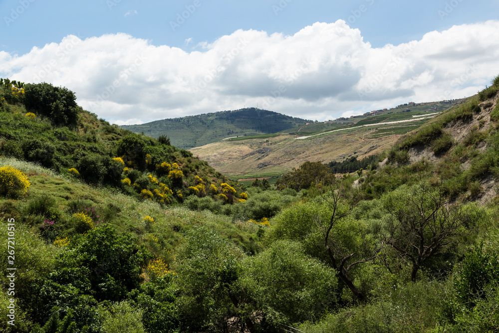 Spring landscape background