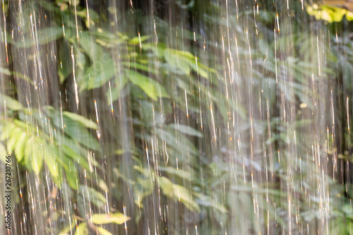 Obraz na płótnie Heavy rain in the tropical rain forest, dotted lines of rain jets in the backgro