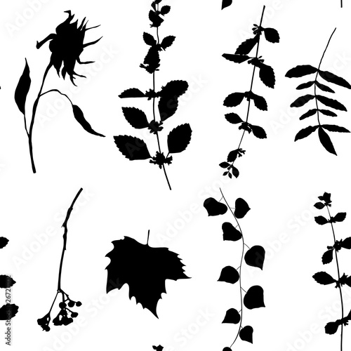 Botanical floral vector seamless pattern with hand drawn herbs, plants, flowe...