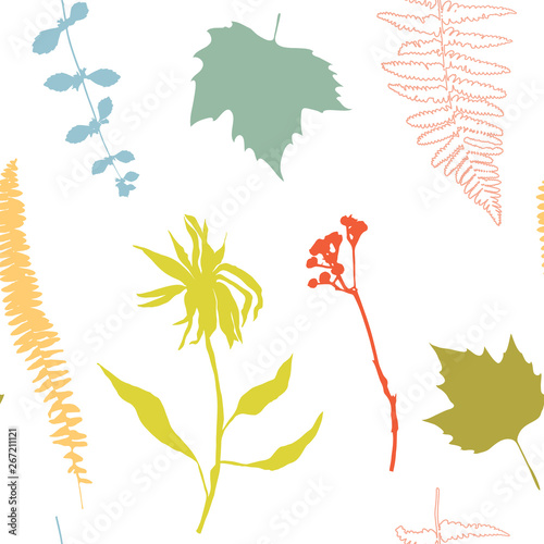 Botanical floral vector seamless pattern with hand drawn herbs, plants, flowe...
