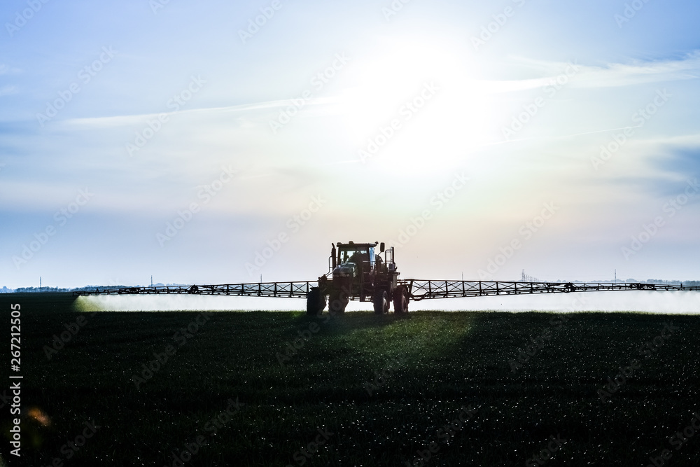 Fototapeta premium tractor with the help of a sprayer sprays liquid fertilizers on young wheat in the field.