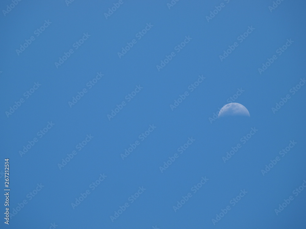 white moon white moon