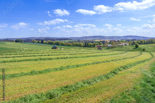 Ernte von Grünfutter in ländlicher Landschaft im Frühling