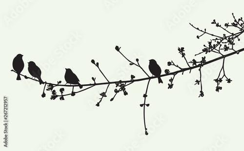 Canvas Print The birds on a tree branch in the spring time
