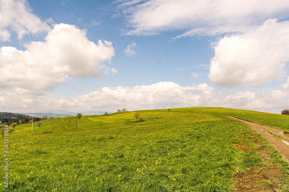 View from Gorce near Rabka Zdroj (Poland)