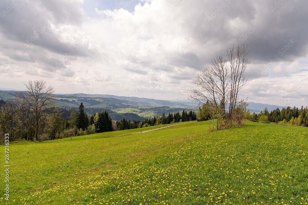 View from Gorce near Rabka Zdroj (Poland)