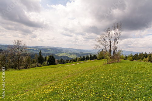 Obraz na płótnie View from Gorce near Rabka Zdroj (Poland) w salonie