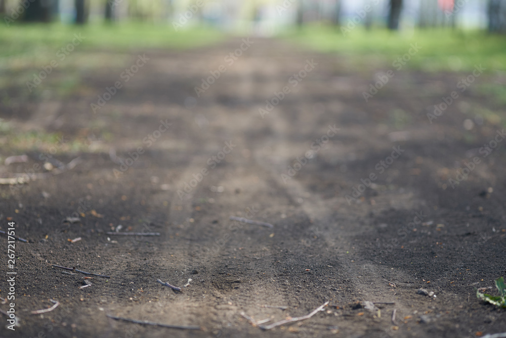 Dirt road in the forest. Shallow depth of field photo.