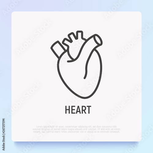 Human anatomical heart thin line icon. Modern vector illustration of human organ.