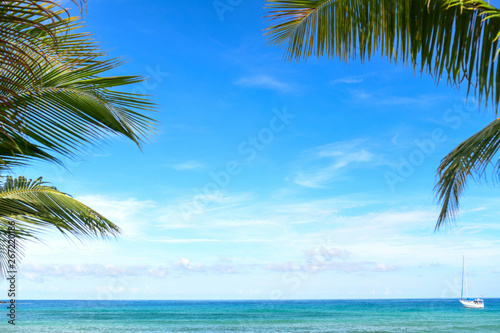 Coconut trees and tropical beach for the background.