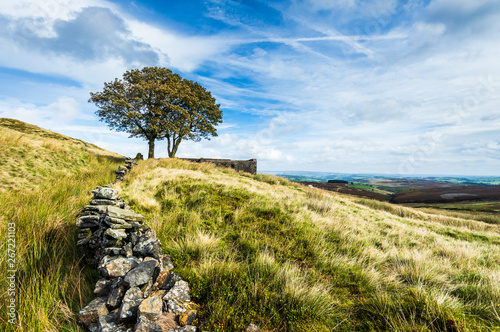 Top Withens, Haworth moor. Yorkshire