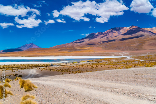 Scenic landscape of Laguna Canapa in sunny day with the James s Flamingo photo