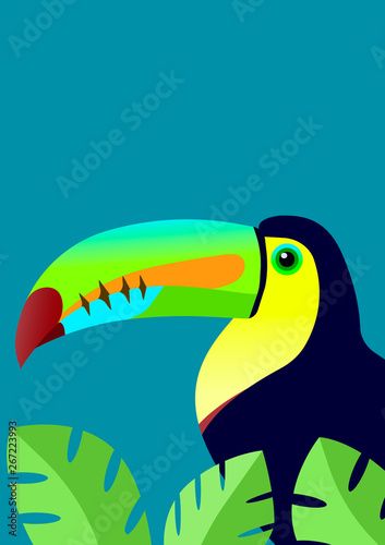 Tucan