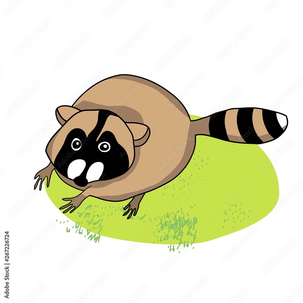 Φωτογραφία Cute raccoon on green grass, cartoon character raccoon, pet, drawing, color imag