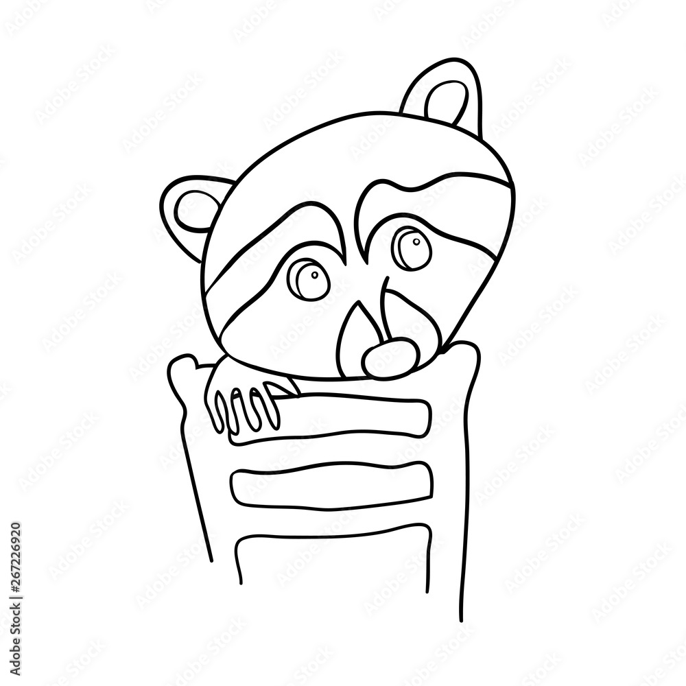Cute raccoon, cartoon character raccoon, pet, black-and-white drawing, for coloring, vector outline drawing Cute raccoon, cartoon character raccoon, pet, black-and-white drawing, for coloring, vector outline drawing