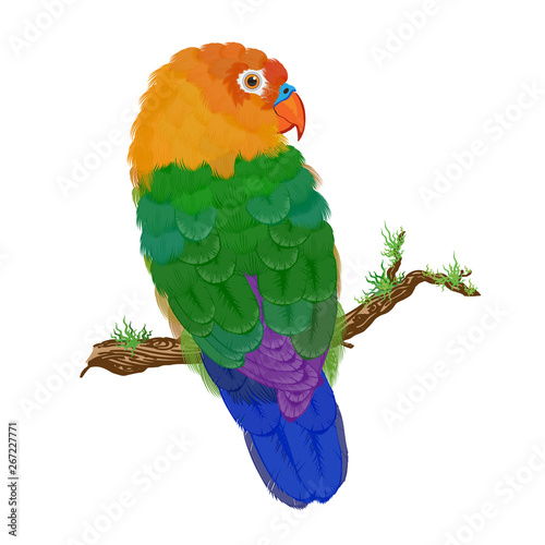 Tropical parrot on a white background. Vector illustration