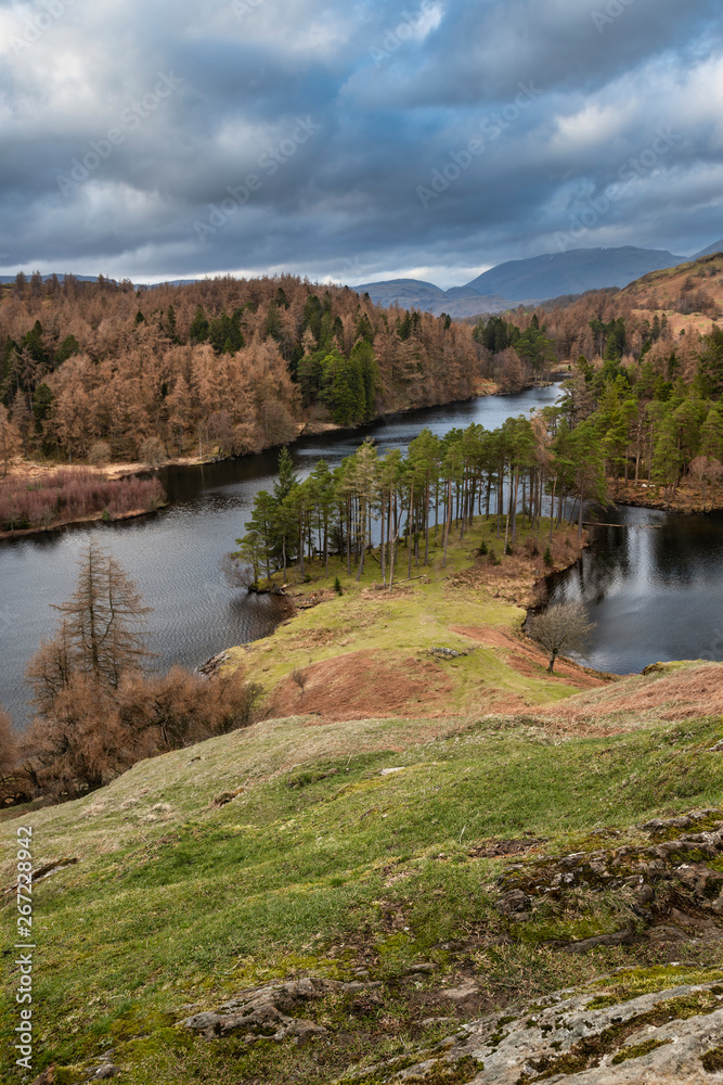 Stunning evening landscape image of Tarn Hows in UK Lake District during Spring