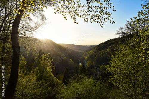 Blick ins Wiedtal