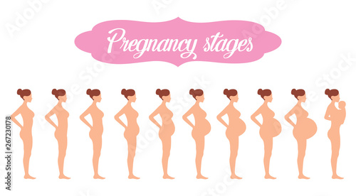 Stages of pregnancy of the woman. A profile full growth it is isolated on a white background.Changes in a woman's body in pregnancy.