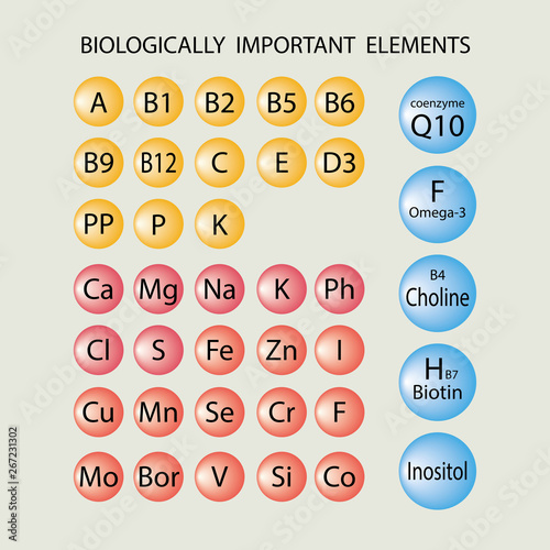 Biologically important elements