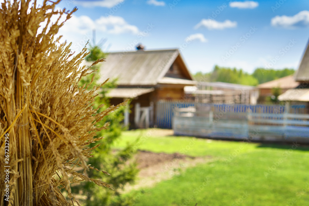 House in the country in summer, trees, garden, sun, sky, village. No focus. House in the country in summer, trees, garden, sun, sky, village. No focus.