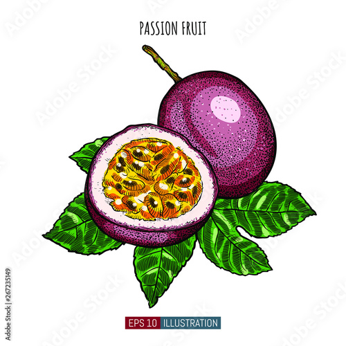 Hand drawn passion fruit isolated. Template for your design works. Engraved style vector illustration.