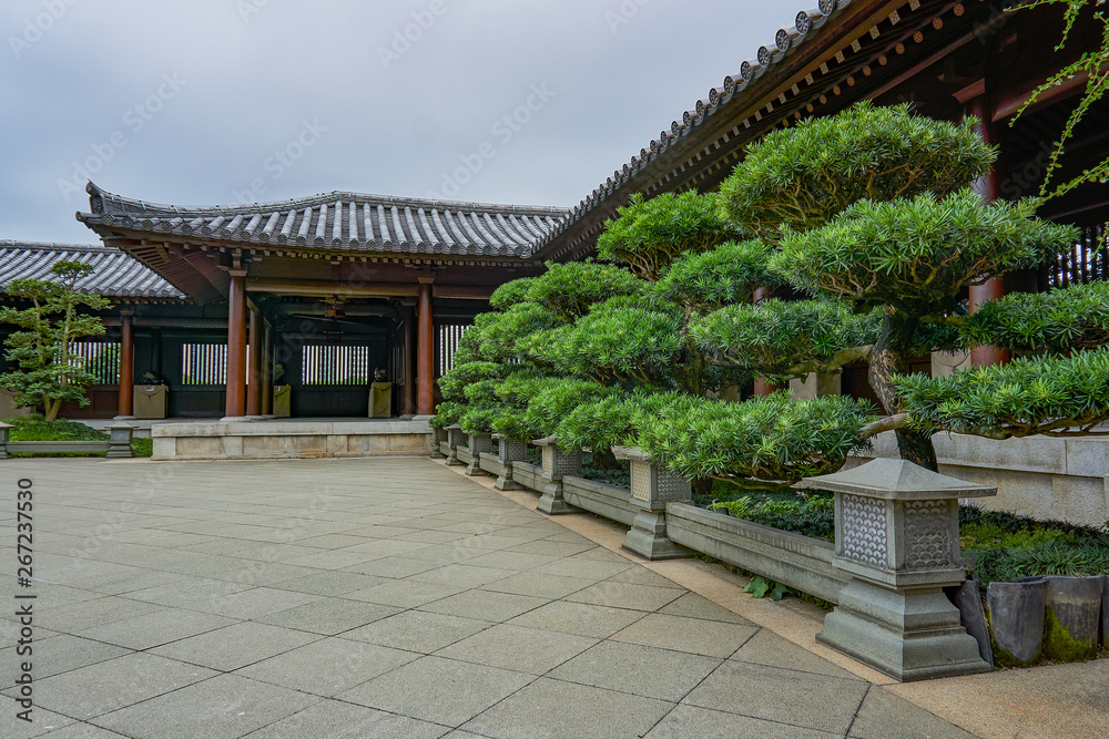 a corner of Japanese garden