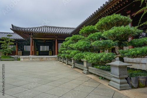 a corner of Japanese garden © Steve