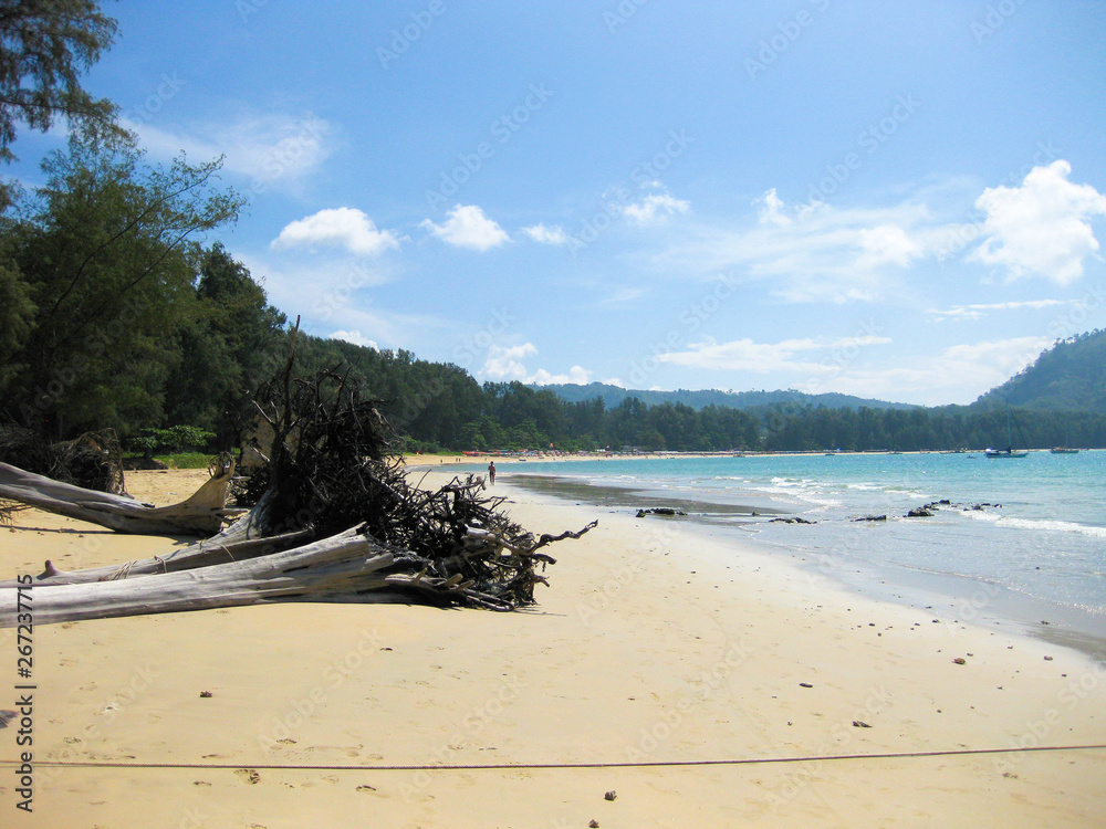 Fototapeta premium Driftwood against blue sky at Nai Yang beach near the airport of Phuket, Thailand