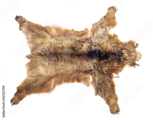 Bild auf Leinwand Bear's skin isolated