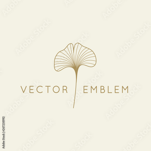 Vector abstract logo design template in trendy linear minimal style - ginkgo biloba leaf