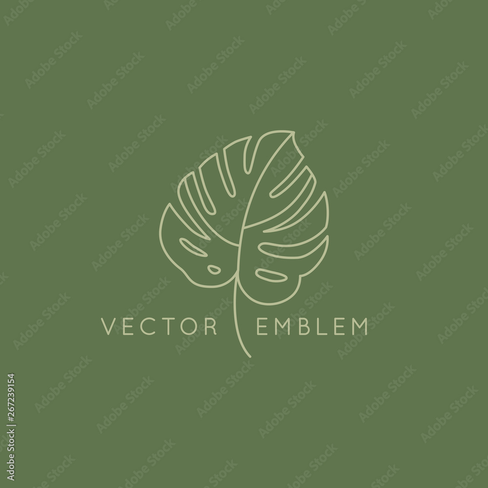 Vector abstract logo design template in trendy linear minimal style - monstera leaf - obrazy, fototapety, plakaty 