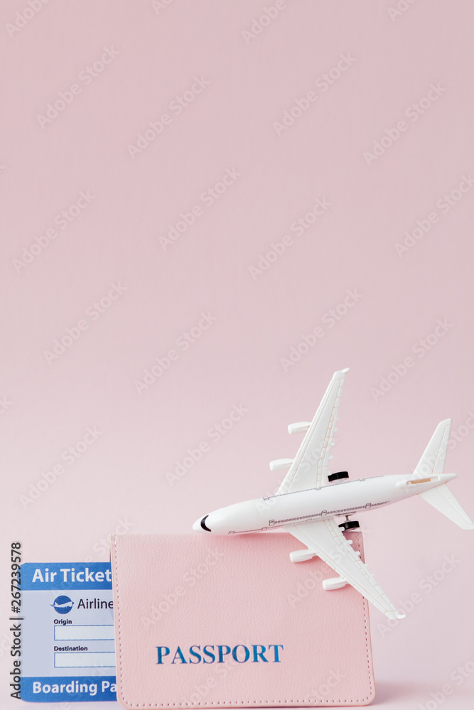 Neon Pink Plane Pattern Passport Case