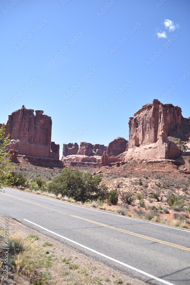 Canyonlands National Park, Utah. U.S.A. Beautiful pinyon and juniper pine and red sandstone moutains Canyonlands National Park, Utah. U.S.A. Beautiful pinyon and juniper pine and red sandstone moutains