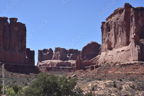 Canyonlands National Park, Utah. U.S.A. Beautiful pinyon and juniper pine and red sandstone moutains
