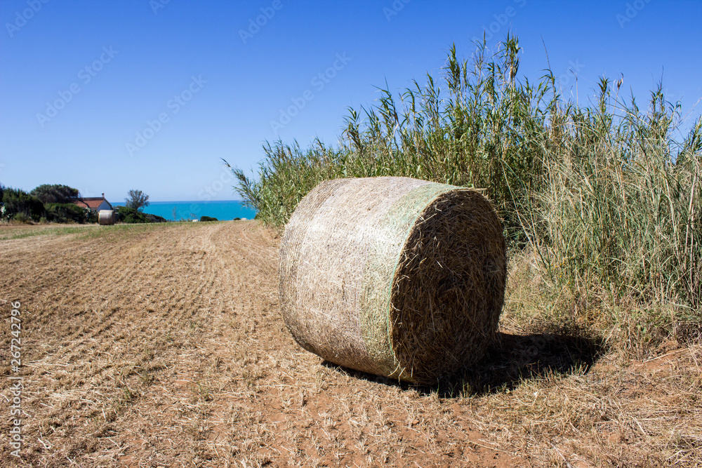 Round Hay bale in the countryside with blue sky and sea view Round Hay bale in the countryside with blue sky and sea view