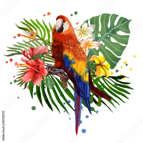 Macaw parrot. Illustration, tropical plants and a parrot.