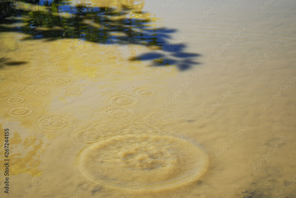 Obraz premium ripple