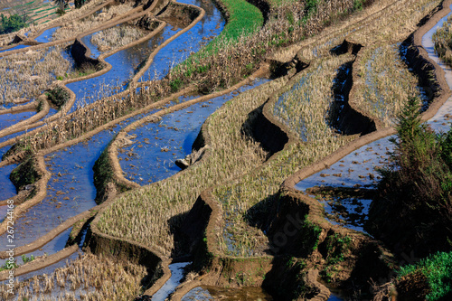 Honghe Yuanyang, Samaba Rice Terrace Fields - Baohua township, Yunnan Province China. Sama Dam Multi-Color Terraces - grass, mud construction layered terraces filled with water, blue sky reflection photo