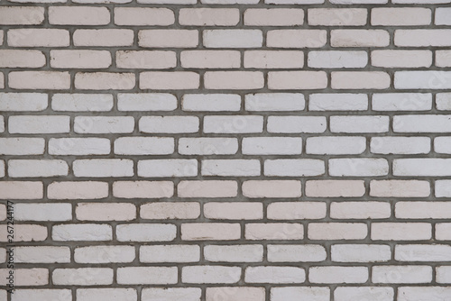 Brick wall with fresh cement