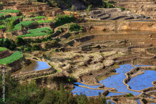 Honghe Yuanyang, Samaba Rice Terrace Fields - Baohua township, Yunnan Province China. Sama Dam Multi-Color Terraces - grass, mud construction layered terraces filled with water, blue sky reflection photo