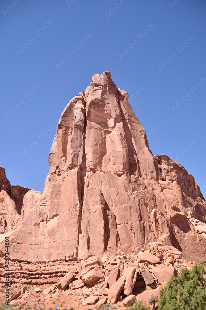 Canyonlands National Park, Utah. U.S.A. Beautiful pinyon and juniper pine and red sandstone moutains