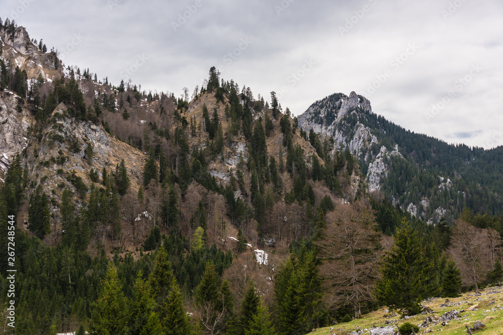 The beautiful mountain Kenzenkopf near the town Halblech in Bavaria The beautiful mountain Kenzenkopf near the town Halblech in Bavaria