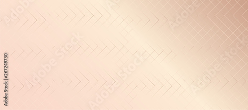 luxury pink gold Diamonds v...