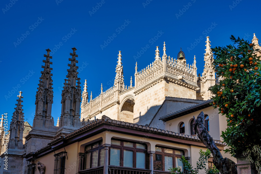 Cathedral of Incarnation in Granada city. Andalusia, Spain.