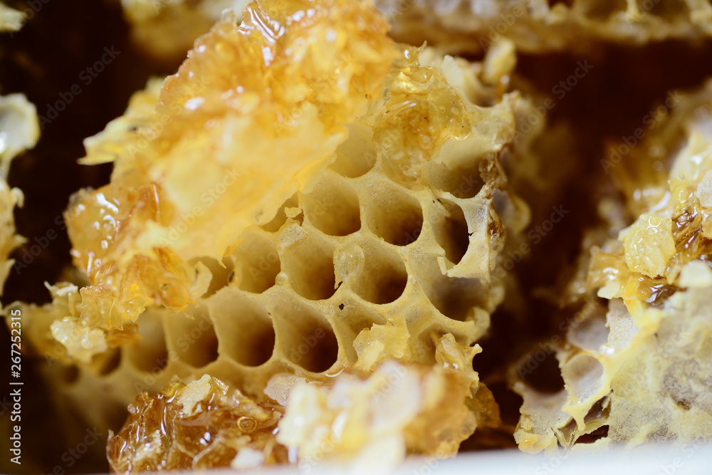 Honey and honeycomb close up Honey and honeycomb close up