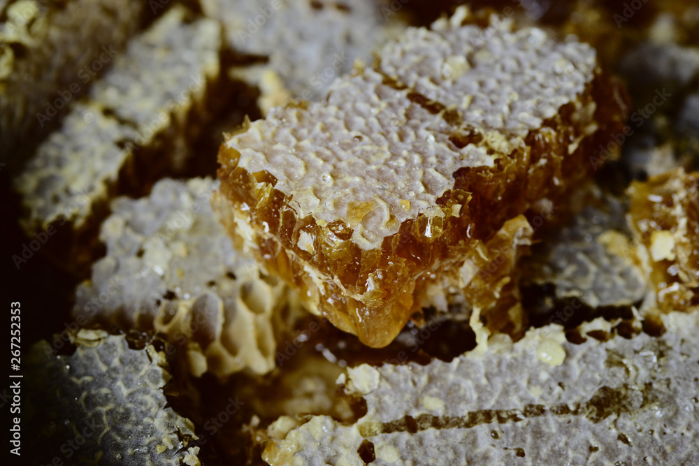 Honey and honeycomb close up Honey and honeycomb close up