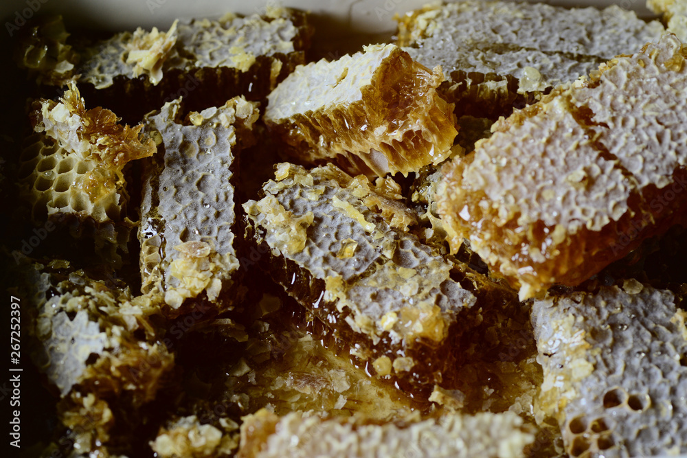 Honey and honeycomb close up Honey and honeycomb close up