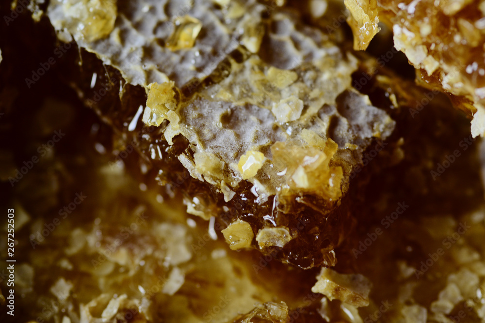 Honey and honeycomb close up Honey and honeycomb close up