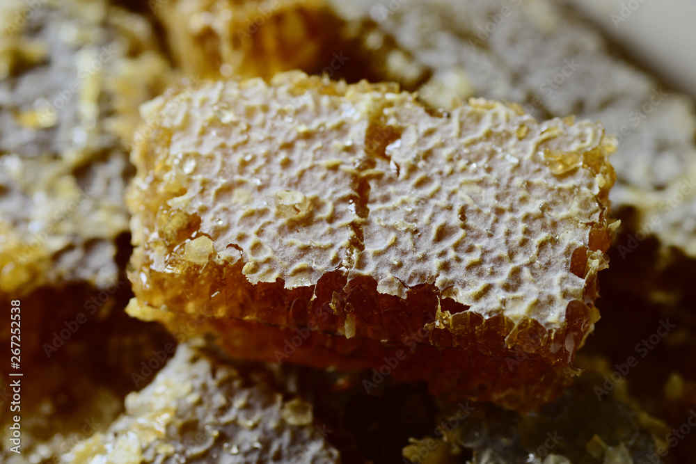 Honey and honeycomb close up Honey and honeycomb close up